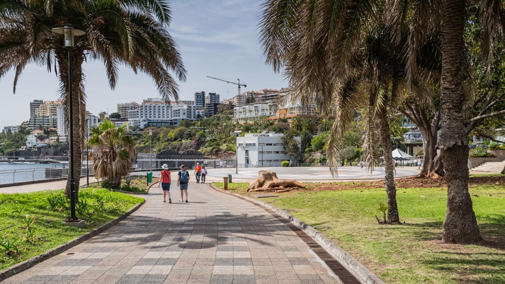 Oceanside Terrace Apartment By Holiday Rental Madeira ฟุงชาล ภายนอก รูปภาพ